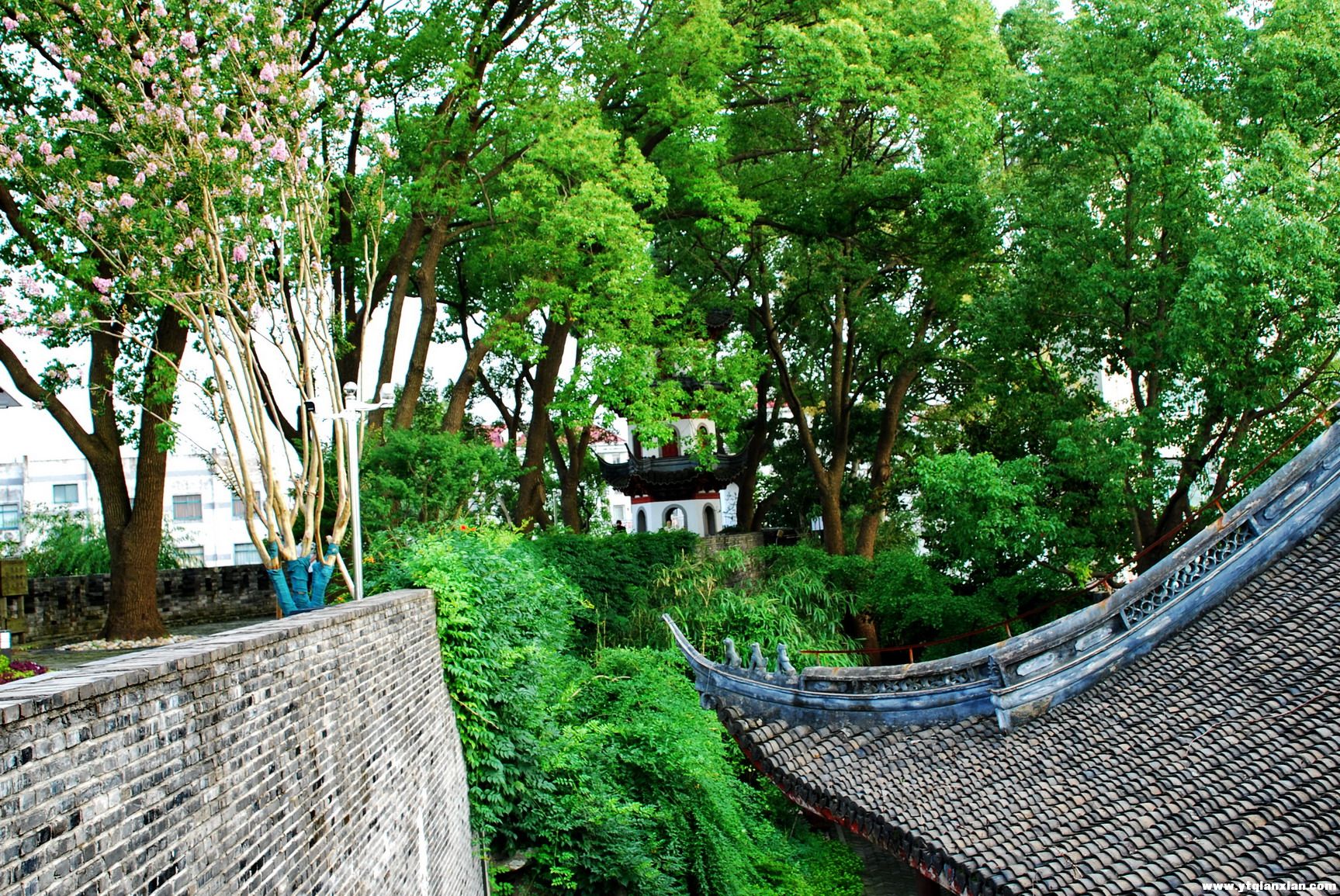 川沙33.jpg
