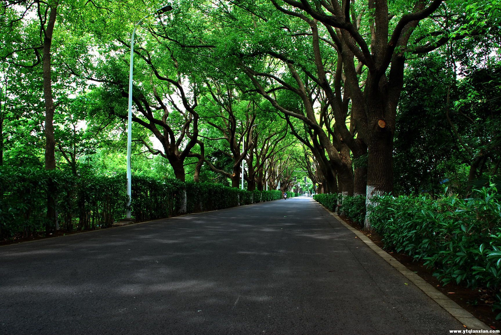 崇明南门29.jpg