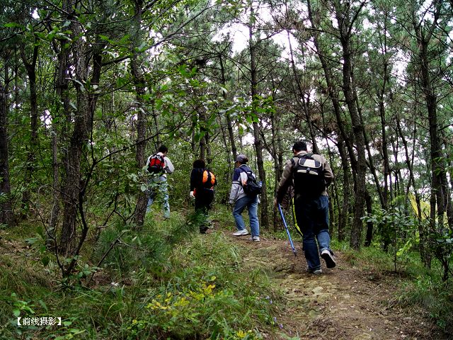 DSC02535-1.jpg