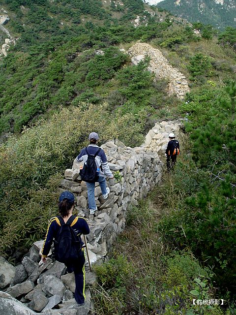 DSC02596-1.jpg