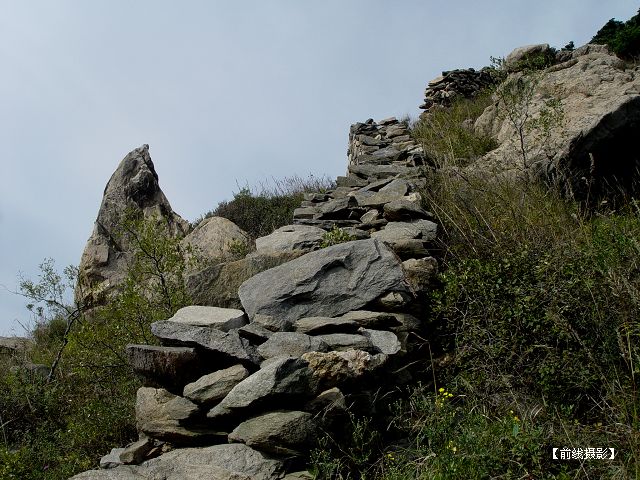 DSC02602-1.jpg