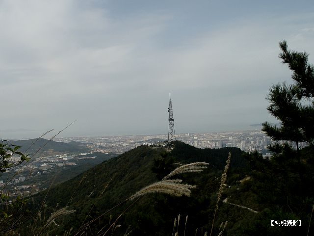 DSC02678-1.jpg