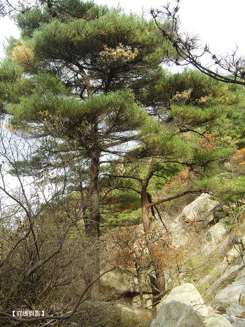 DSC09269-1.jpg