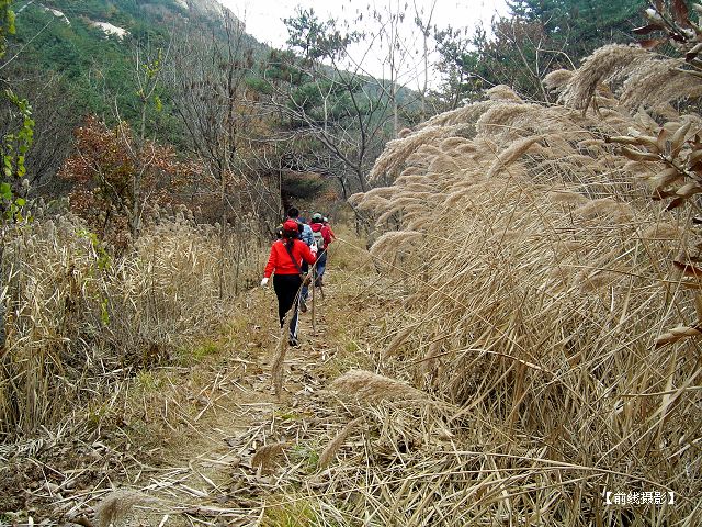 DSC09285-1.jpg