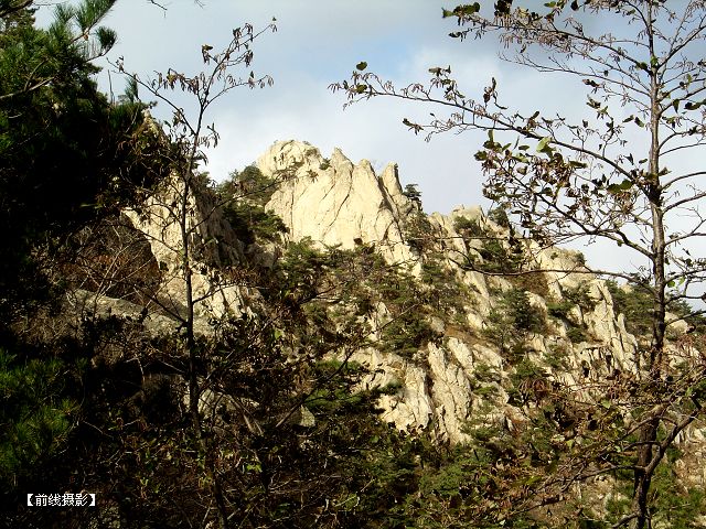 DSC09266-1.jpg