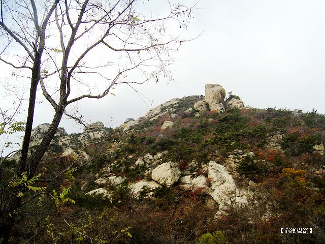 DSC09204-1.jpg