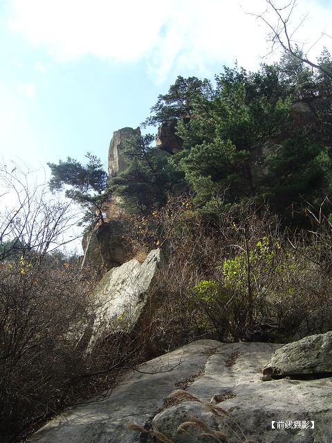 DSC09264-1.jpg
