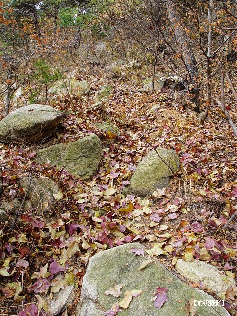 DSC03494-1.jpg