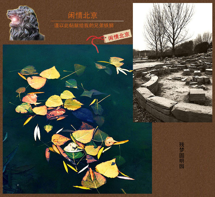 YMY-06.jpg