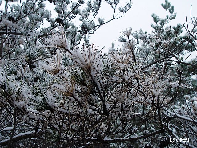 DSC03567-1.jpg