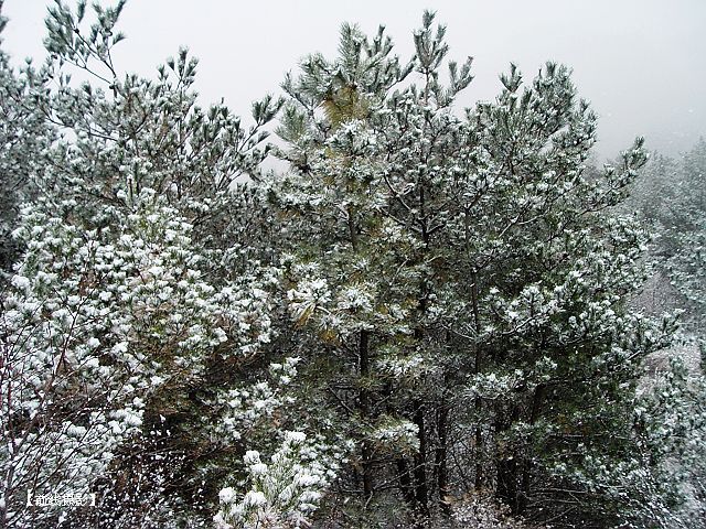 DSC03564-1.jpg