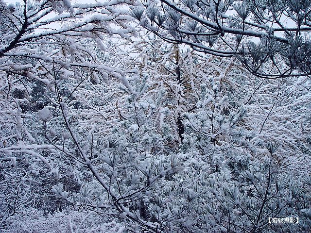 DSC03565-1.jpg