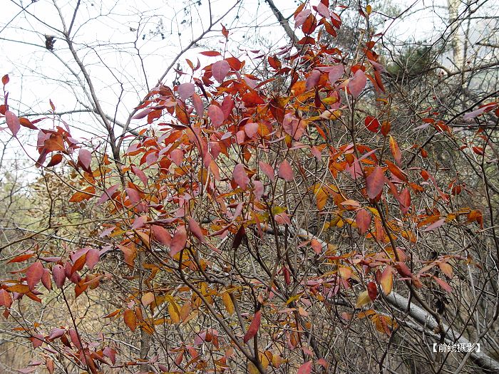 DSC03930_nEO_IMG.jpg