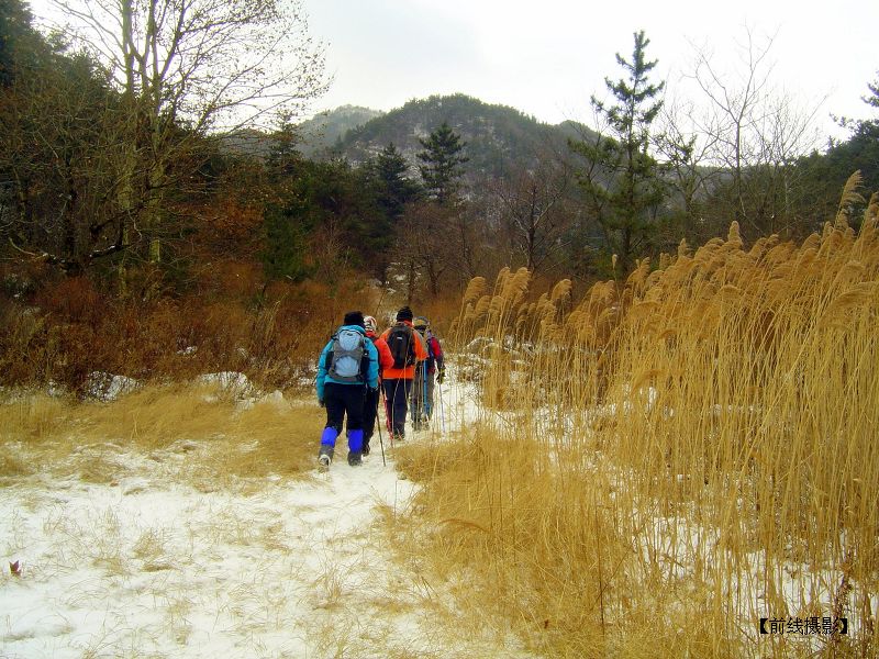 DSC09340.JPG-1_nEO_IMG.jpg