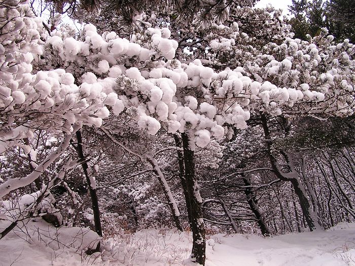 P1010185_nEO_IMG.jpg