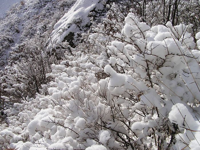 山上的雪真大。。