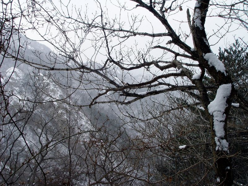怎样都是一种风景。。。。