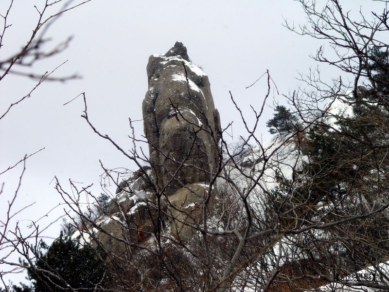 DSC04721.JPG-1_nEO_IMG.jpg
