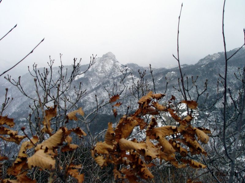 雪中的昆嵛山更加雄峻