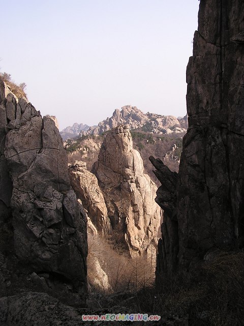 295.jpg