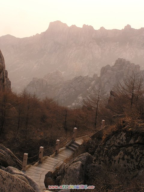 268.jpg
