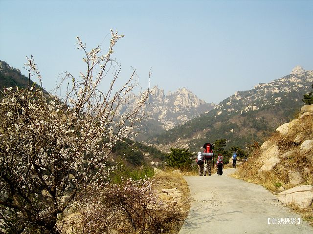 DSC09487-1.jpg