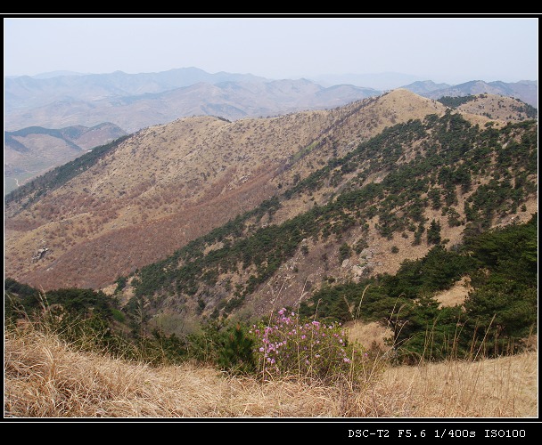 DSC00869.jpg