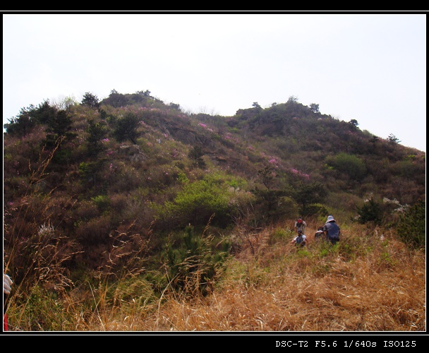DSC00870.jpg