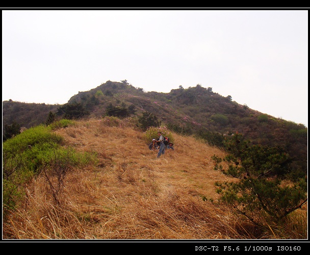 DSC00859.jpg