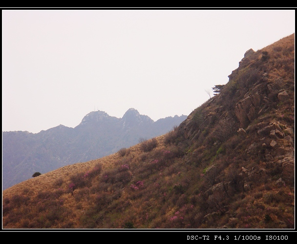 DSC00887.jpg