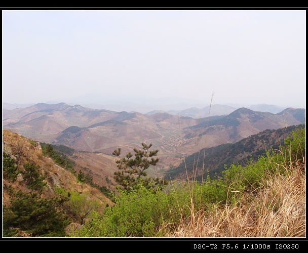 DSC00866.jpg