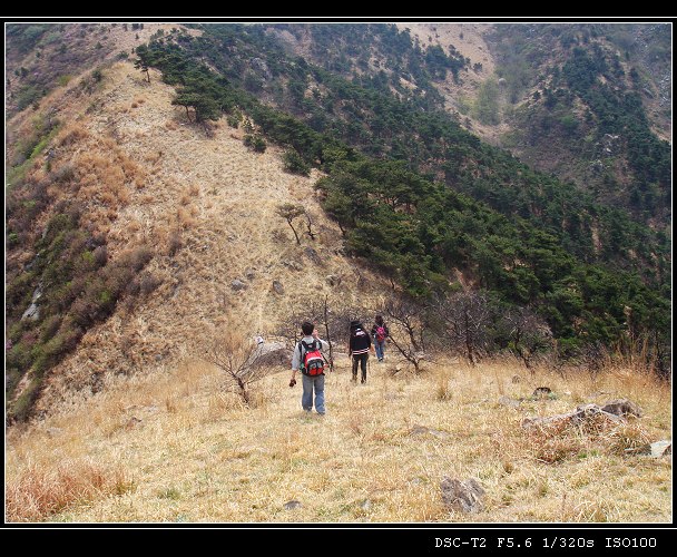 DSC00827.jpg