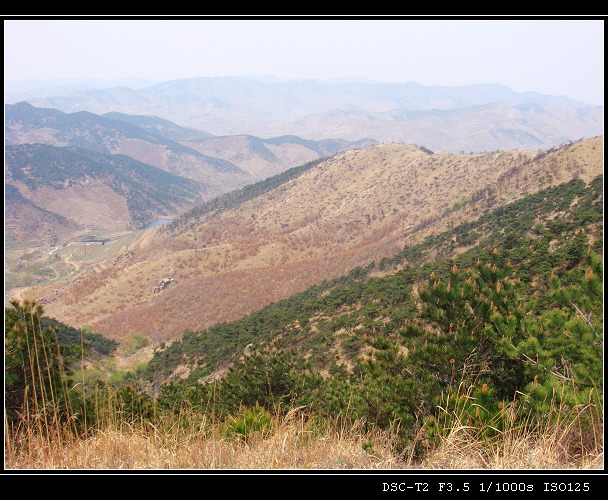 DSC00850.jpg