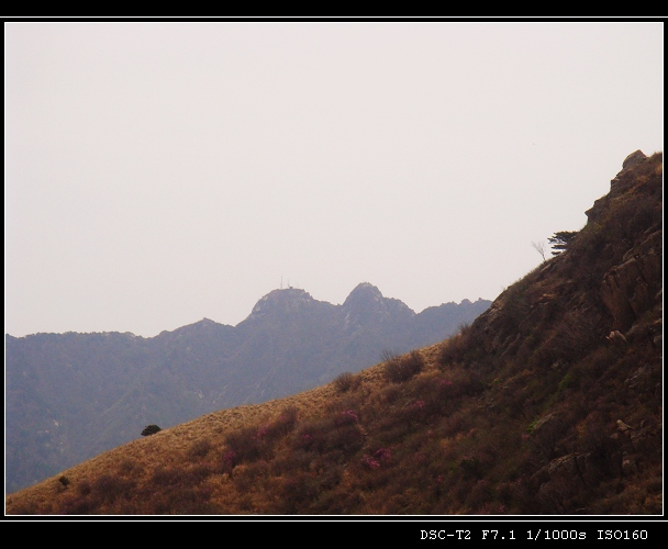 DSC00886.jpg