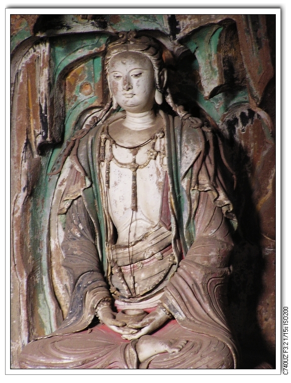 P1010175.jpg