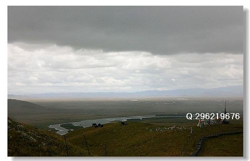 CIMG86121.jpg