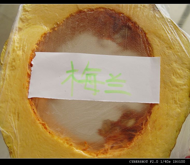 南瓜.jpg