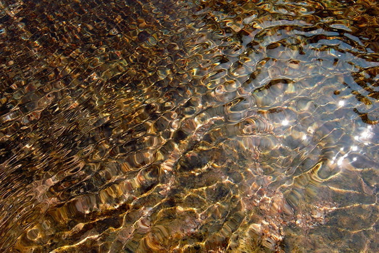 20081120.jpg