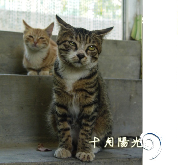 十月,阳光02.jpg
