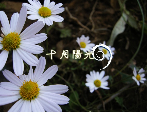 阳光,十月03.jpg