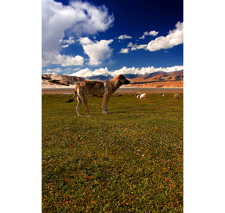 2008082923.jpg
