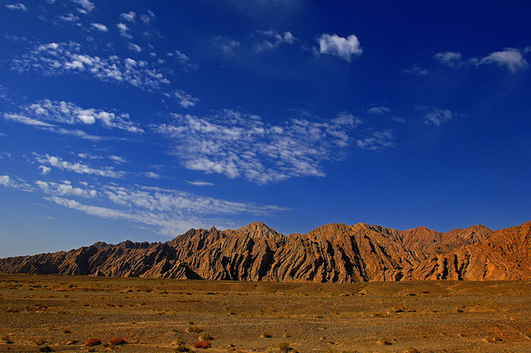 2008082903.jpg