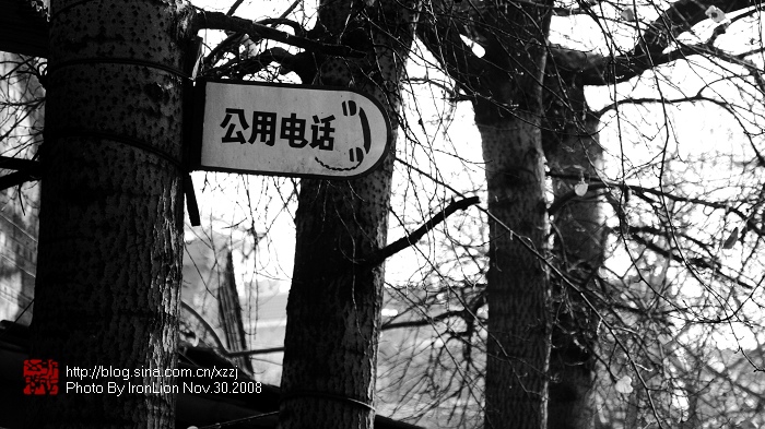 驹章胡同5225.jpg