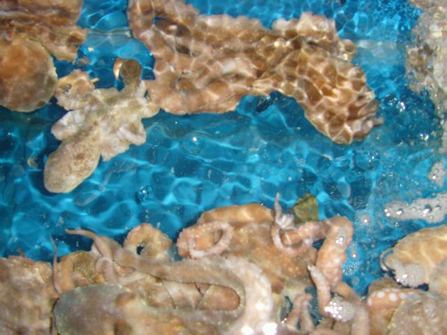 SNV38340.JPG
