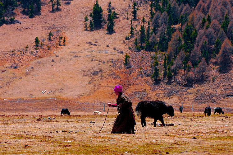 200510052.jpg