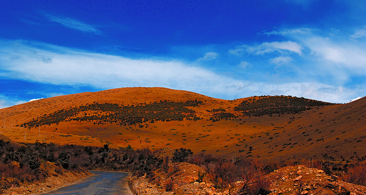 200510045.jpg