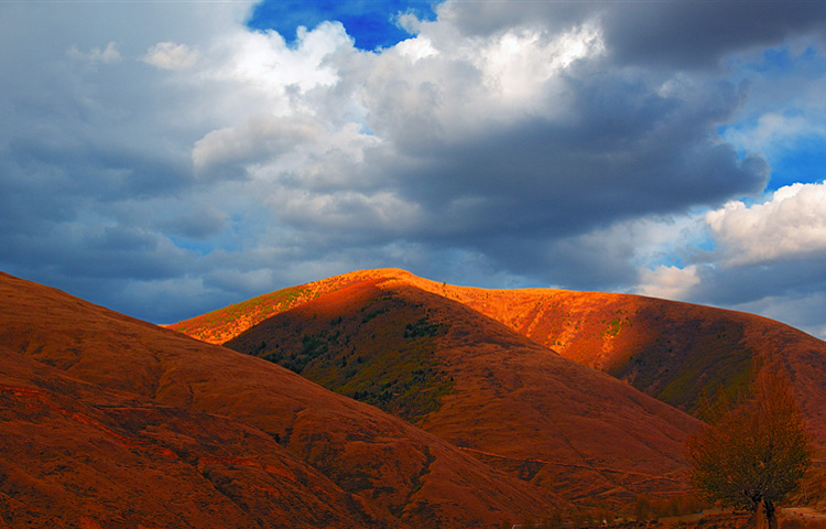 200510050.jpg