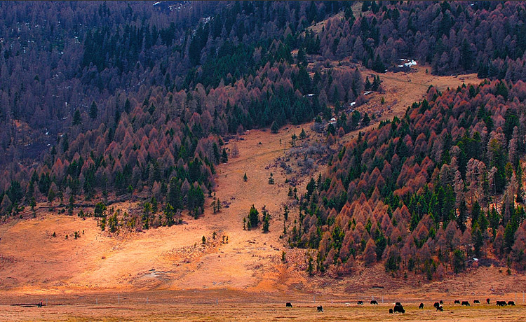 200510059.jpg