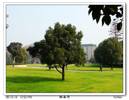 DSC07895.jpg