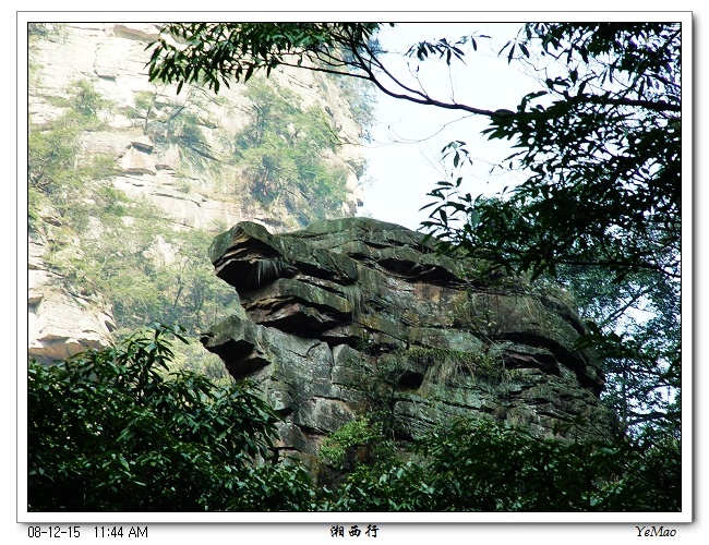 双龟探海